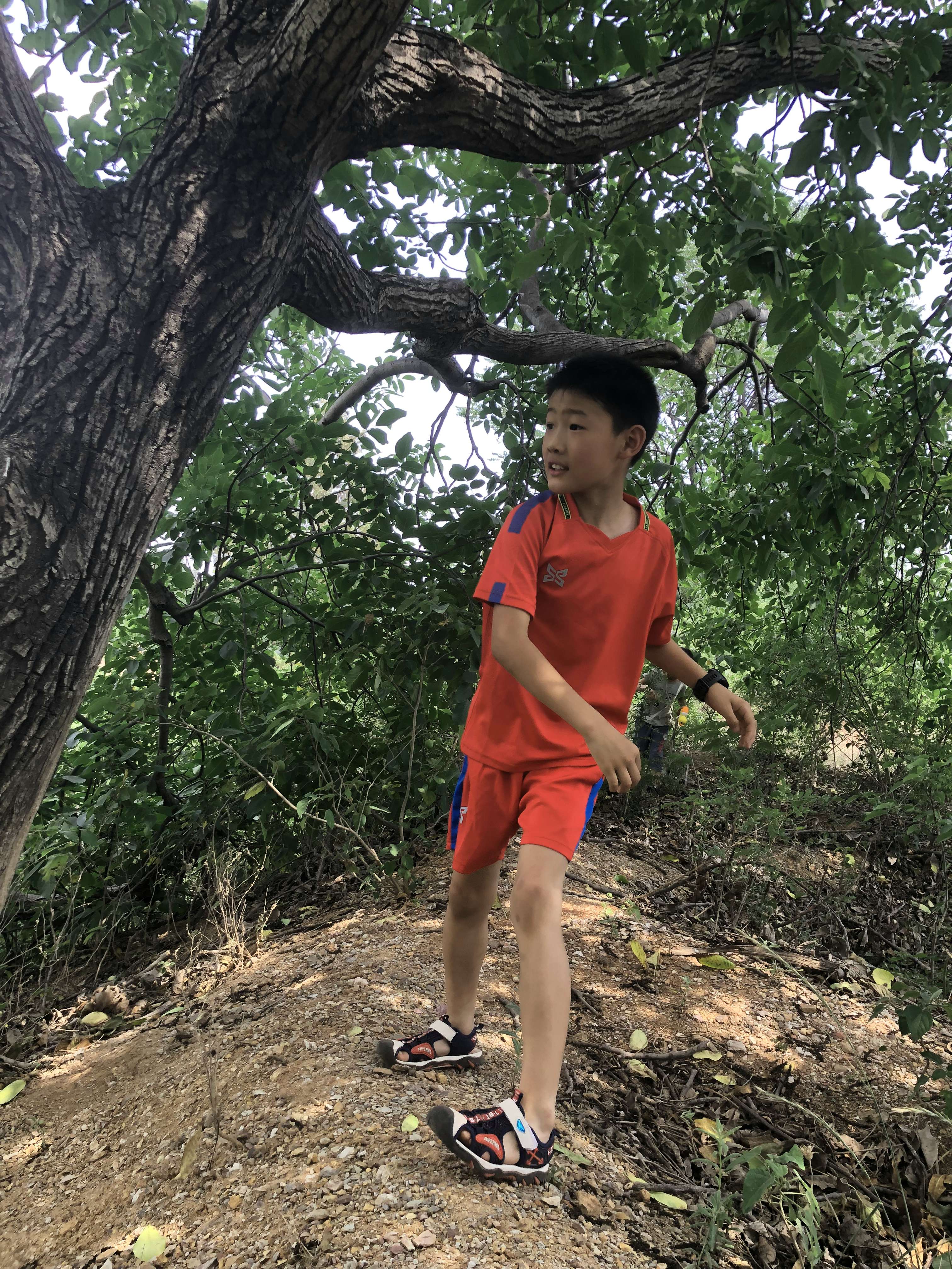 惬意的儿童节 - 第7张图片 | 東漁而笠