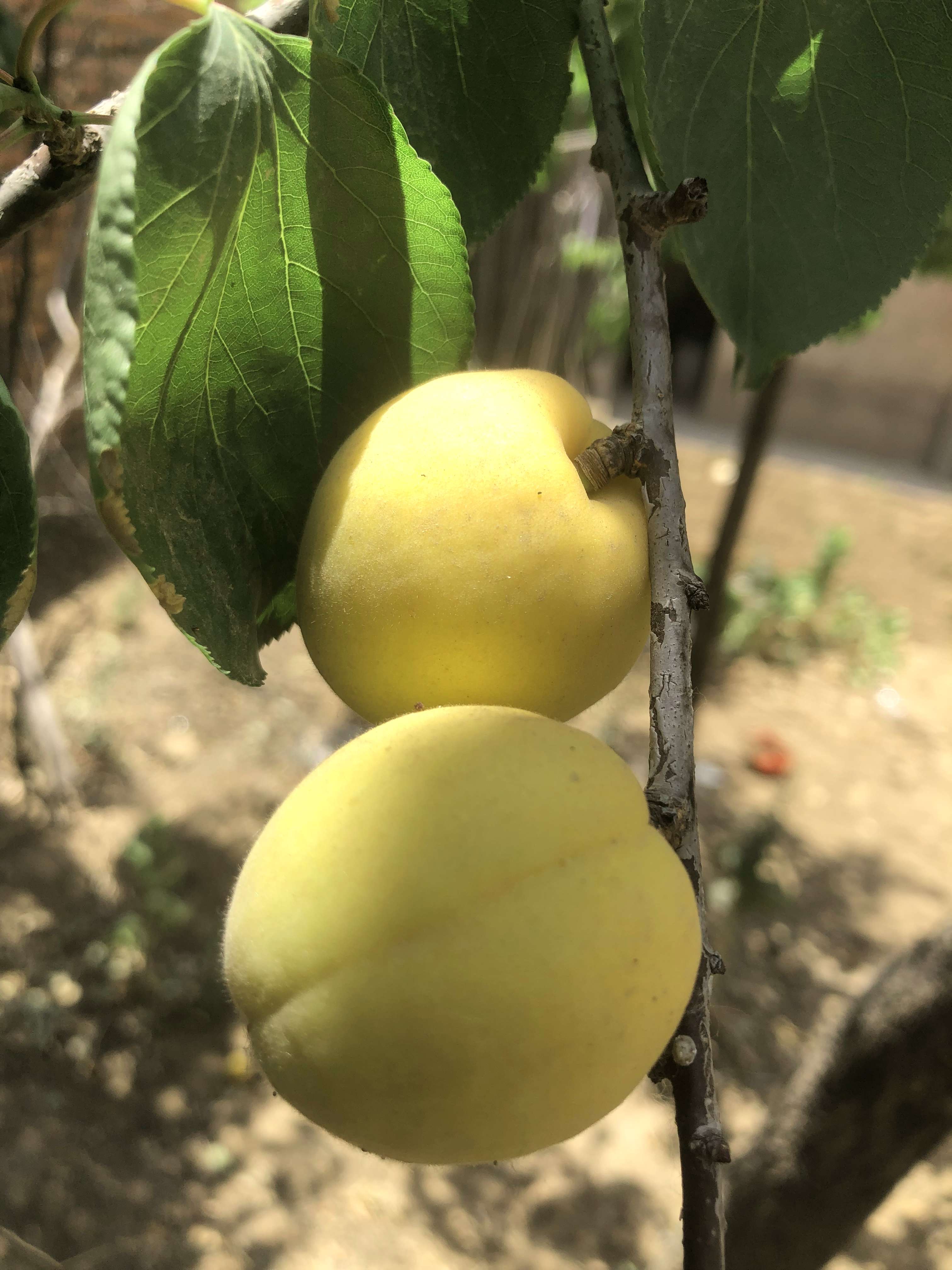 惬意的儿童节 - 第8张图片 | 東漁而笠